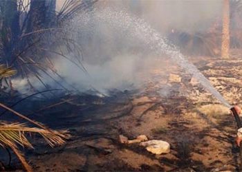 إخماد حريقين امتدا على مساحة 63 دونماً بالقنيطرة