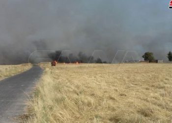 الاحتلال التركي يحرق مزيداً من الحقول الزراعية في محيط رأس العين