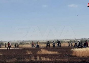 تضرر أكثر من ثلاثة آلاف دونم من الأراضي الزراعية جراء الحرائق بدرعا