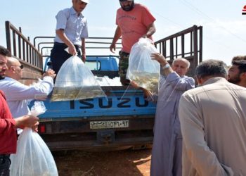 توزيع إصبعيات أسماك على 100 مستفيد بحمص