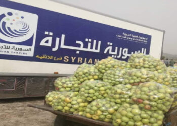 «التجارة الداخلية» تطالب «السورية للتجارة» باستجرار التفاح والحمضيات