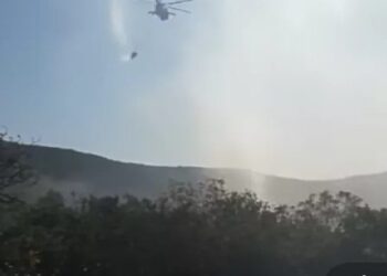 السيطرة على ٩٠% من حريق (الشعرة)..بمشاركة الجيش