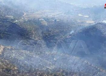 أضرار الحرائق في طرطوس