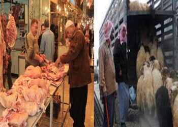 تهريب الثروة الحيوانية في مقدمة أسباب ارتفاع أسعار اللحوم