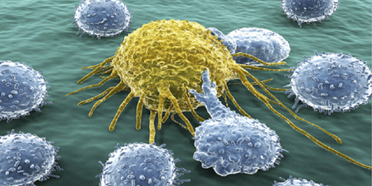 طريقة جديدة لعلاج سرطان البنكرياس