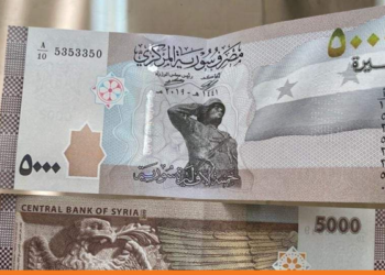 القبض على شبكة ترويج مخدرات وتزوير عملة فئة 5000 ليرة بمنطقة السيدة زينب