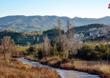 الحرارة أدنى من معدلاتها والجو بين الصحو والغائم جزئياً بشكل عام