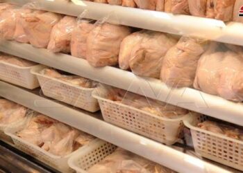 لسورية للتجارة… تدخل إيجابي في أسعار اللحوم