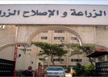 الزراعة واتحاد الفلاحين يناقشان واقع المحاصيل