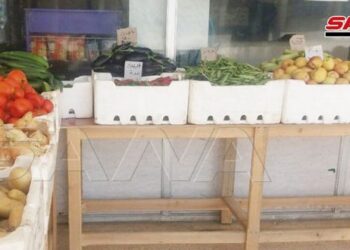 انخفاض ملموس بأسعار المواد الغذائية والخضار والفاكهة في القنيطرة