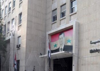 المالية تصدر ضوابط عمل مصارف التمويل الأصغر في مجال التأمين