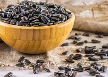 خبيرة تكشف عن البذور “القاتلة” و”المفيدة” للإنسان ومناعته