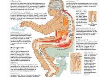 مخاطر الجلوس الطويل على الإنسان ..