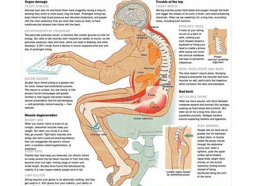 مخاطر الجلوس الطويل على الإنسان ..