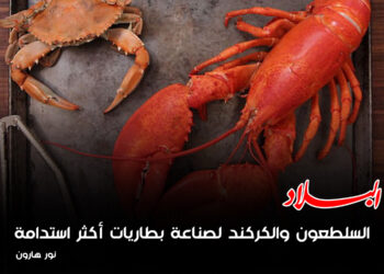 السلطعون والكركند لبطاريات أكثر استدامة وصديقة للبيئة