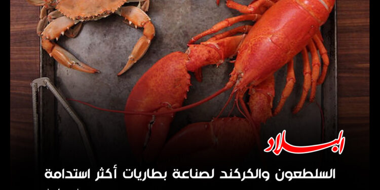 السلطعون والكركند لبطاريات أكثر استدامة وصديقة للبيئة