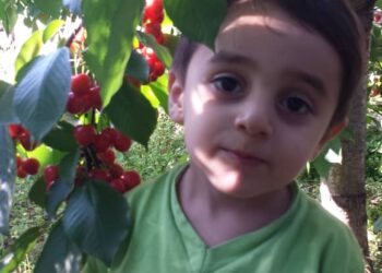 قرية الرقمة… سحر الطبيعة السورية