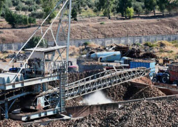  دراسة لـ«الصناعة» و«الزراعة» تؤكد جدوى زراعة الشوندر بالنسبة للفلاحين