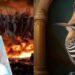 بين عاموس والهدهد إيحاءات المواجهة …